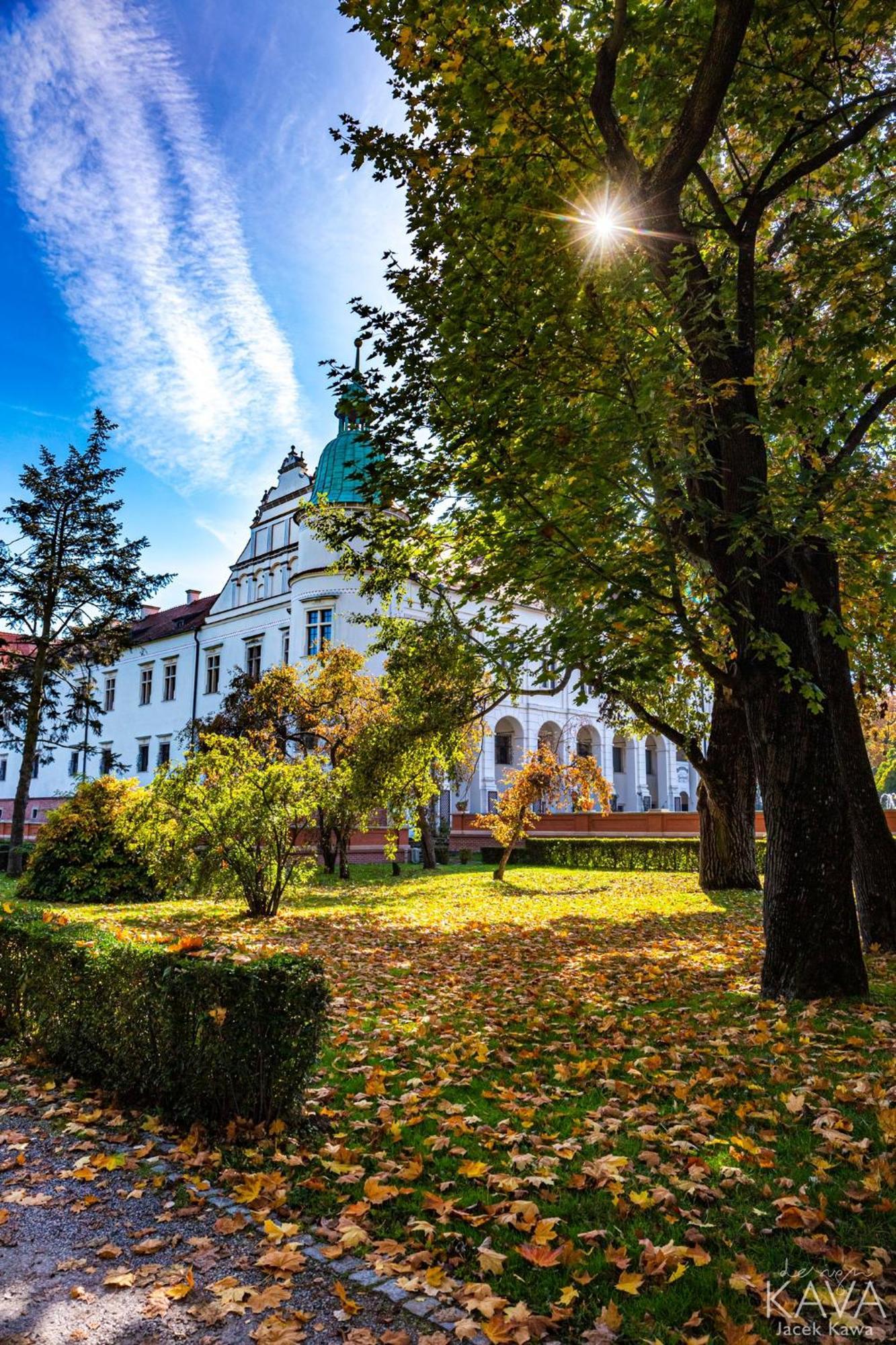 Zamek W Baranowie Sandomierskim Baranów Sandomierski Dış mekan fotoğraf